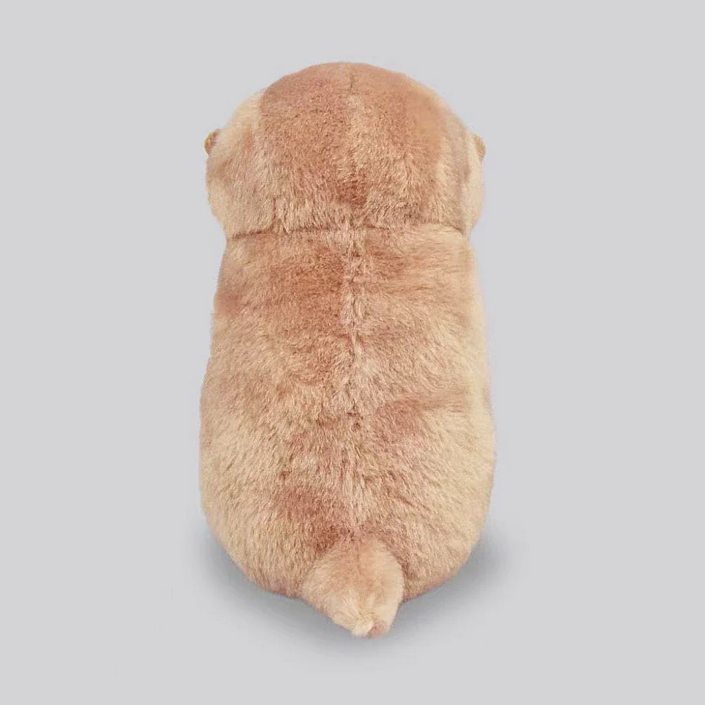 น่ารัก Otters ถือปลาตุ๊กตา Plush Keyrings น้ําหนักเบาแขวนจี้ Props สําหรับกระเป๋ากระเป๋าสตางค์ตุ๊กตาของเล่นของขวัญ 13 ซม