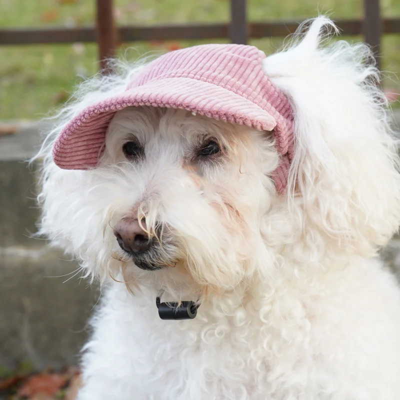 

Korean Style Outing Photography Pet Sunshade Summer Dog Corgi Poodle Hat
