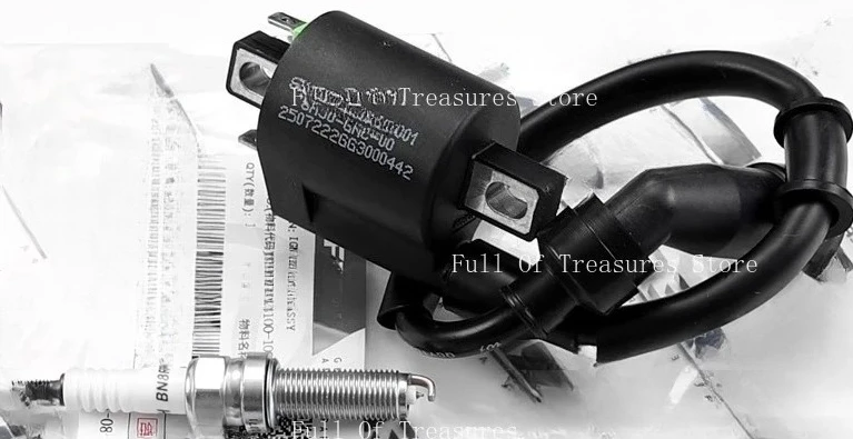 Suitable for 150AURA 150cc Retro Scooter Spark Plug Ignition Coil High Voltage Cap