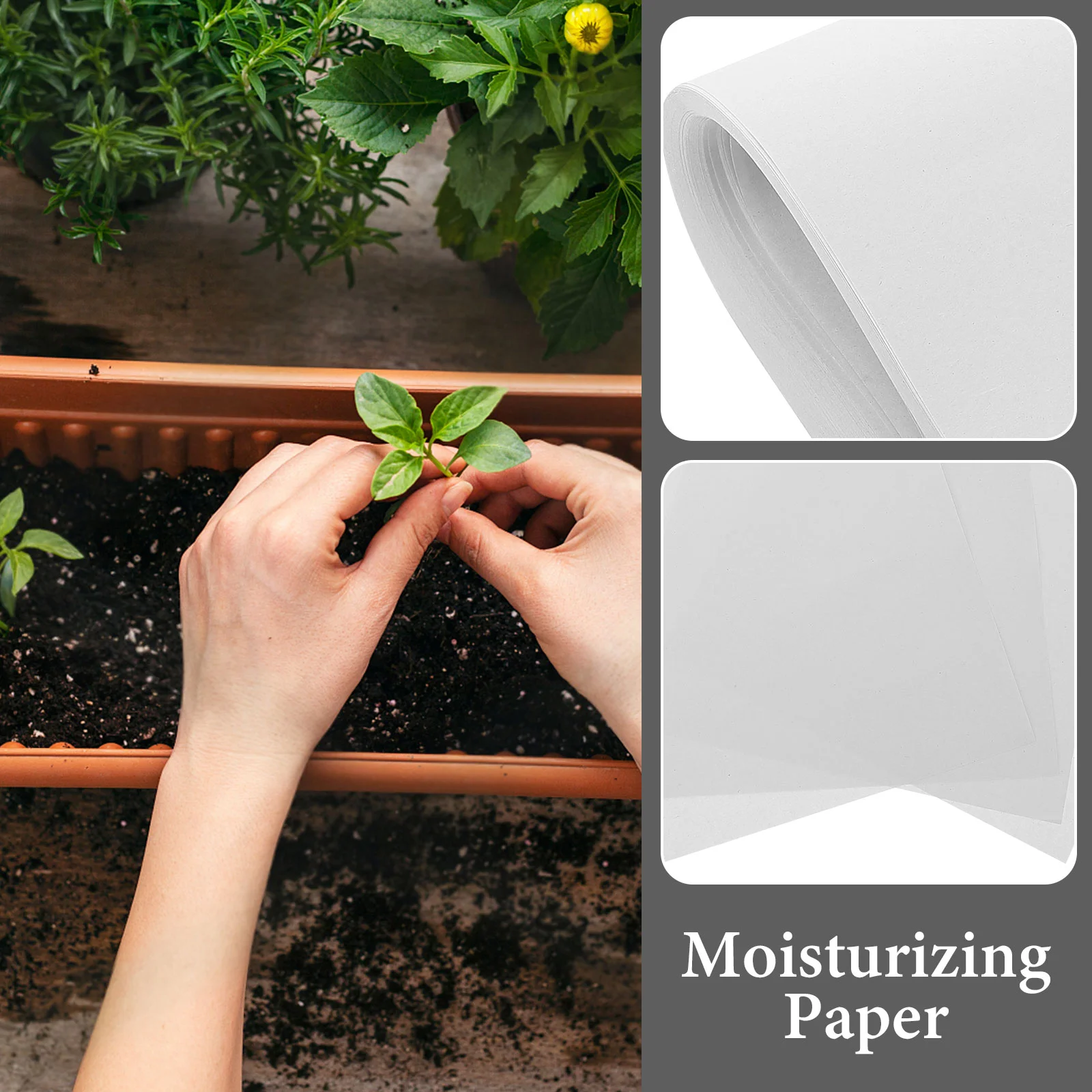 150 Pcs Germinating Paper Safe Moisturizing Leak Proof for Seeds Soya Bean Mung Wheat Sprout Farming Gardening