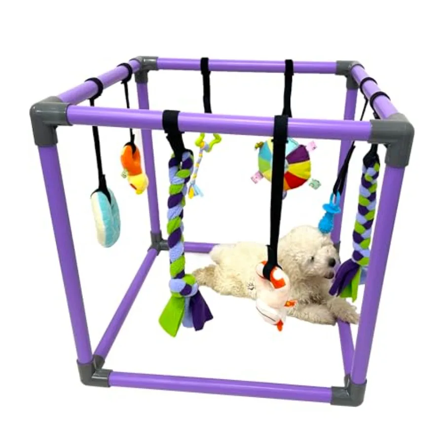 

Small Dog Puppy Play Gym with 8 Hanging Toys Jungle Playground in Bright Colors for Interactive Fun and Mental Enrichment-xq