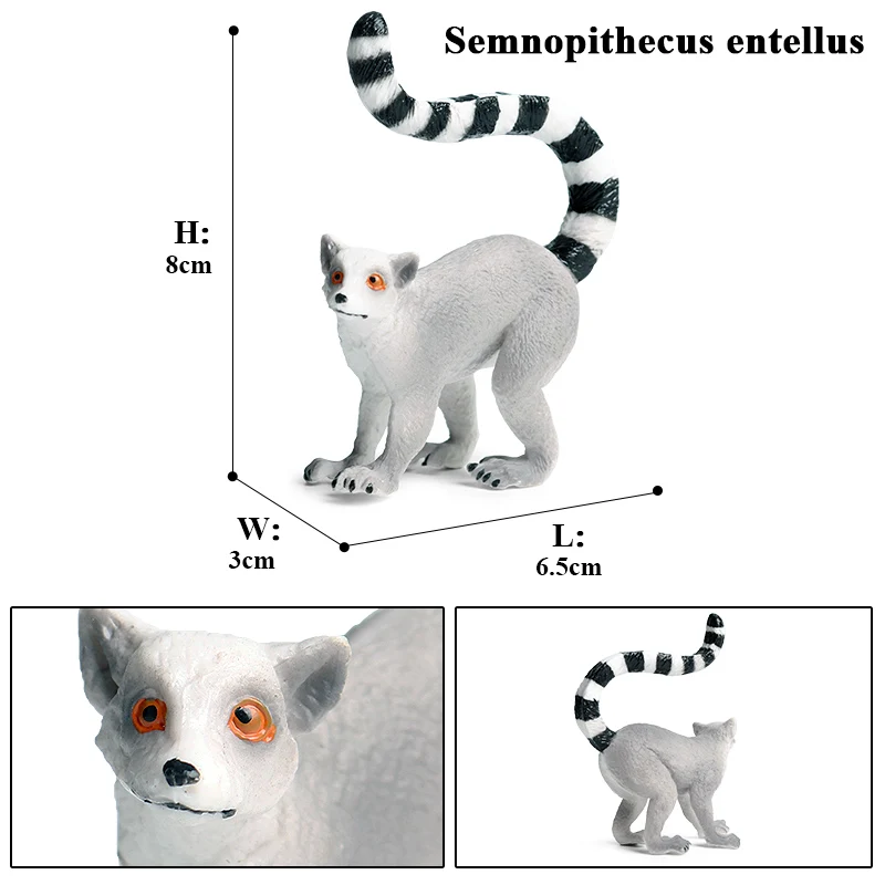 Oenux Simulation Wilde Figuren Weniger Panda Waschbär Lemur Modell Action-figuren Wald Tiere Hause Bildung Kinder Spielzeug Geschenk – Detail 11
