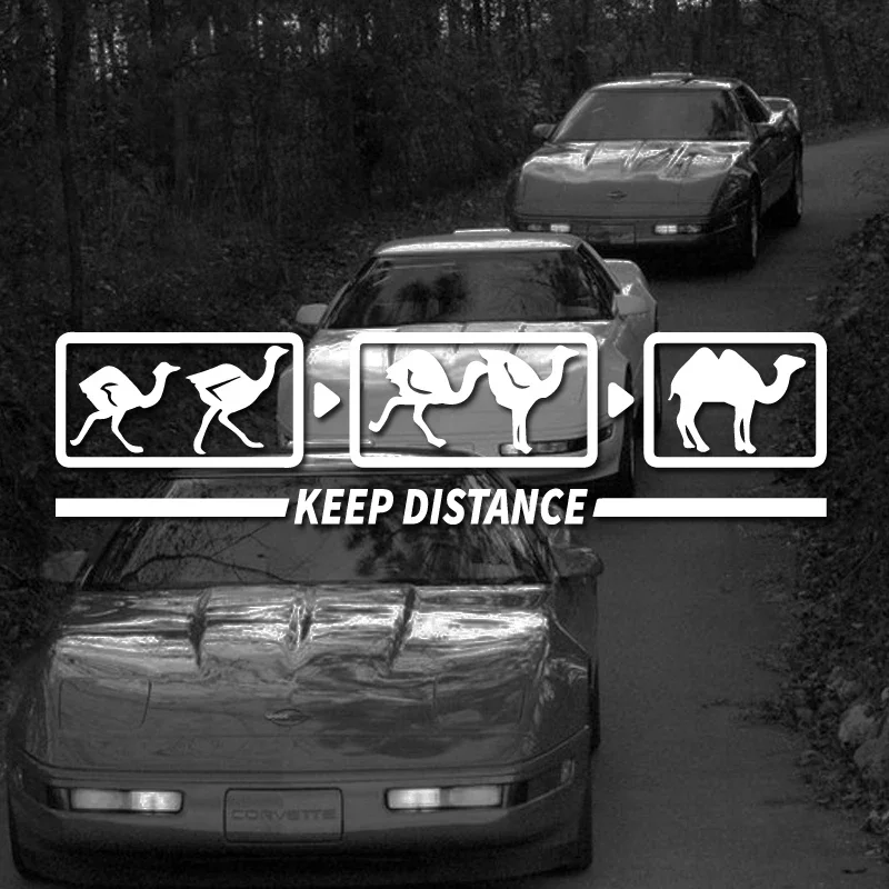 

“KEEP DISTANCE”decal,Ostrich tailing turns into a camel,creative&funny stickers for Remind rear drivers to maintain a safe space