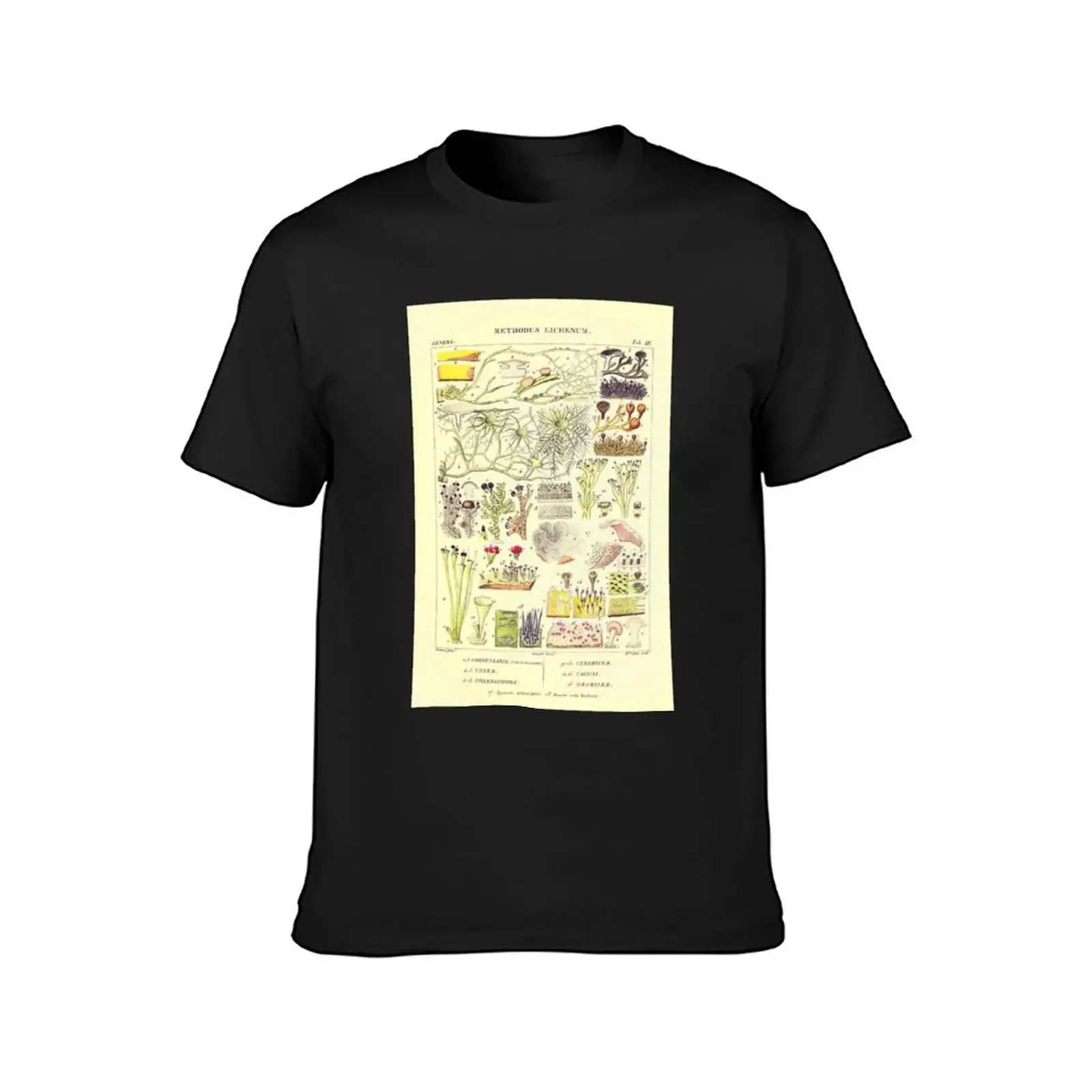 Lichen - Essai sur les cryptogames - Botanical Illustration T-Shirt blue archive mens clothing