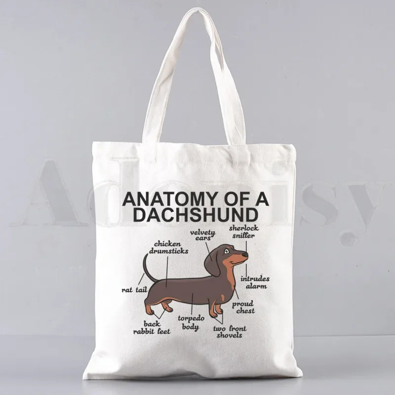 Anatomy Life Is Better With A Dachshund Funny Handbags Shoulder Bags Casual Shopping Girls Handbag Women Elegant Canvas Bag