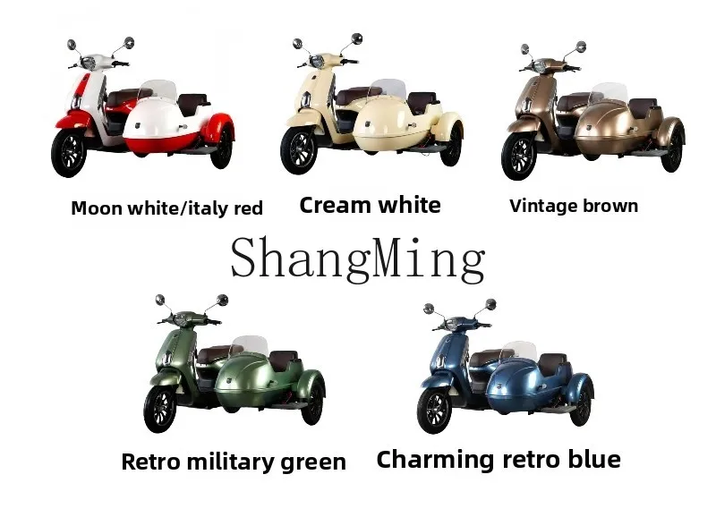 ZYH72v دراجة ثلاثية العجلات الكهربائية 100a بطارية ليثيوم سيارة سياحية لمشاهدة معالم المدينة عمر البطارية الطويل #3