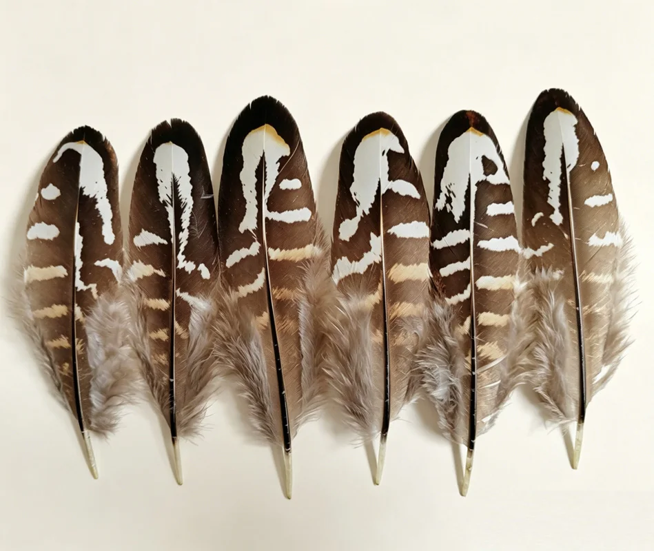 100Pcs  7-11cm Natural Small Reeves Pheasant Quill Feathers Handmade Craft Supplies for DIY Jewelry Making