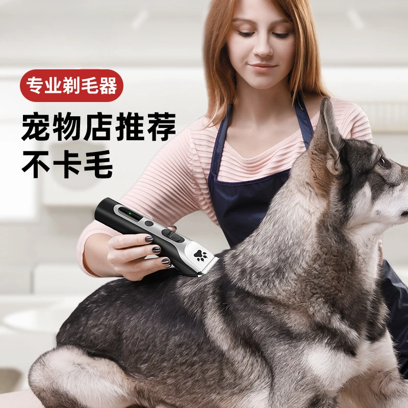 Pet shaver Professional dog electric push shears Pet store high-power electric push dog hair foot hair tool