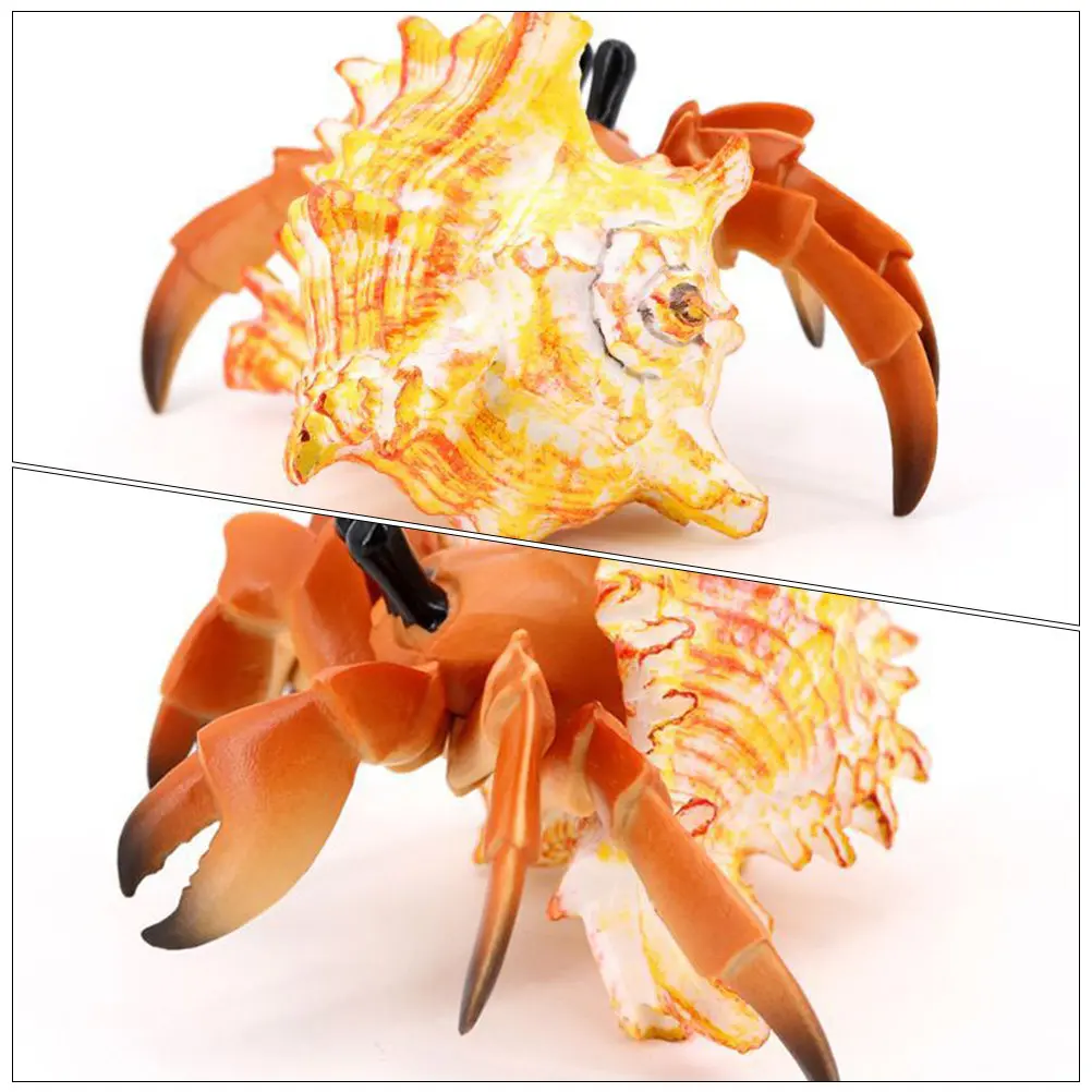 

Realistic Pagurian-Shaped Marine Animal Ornament Safe Plastic for Children's Educational Play Outdoor Landscape Balcony Use