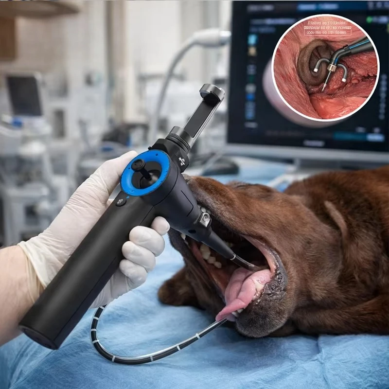 Vet Disposable Digital Flexible Veterinary Single Use