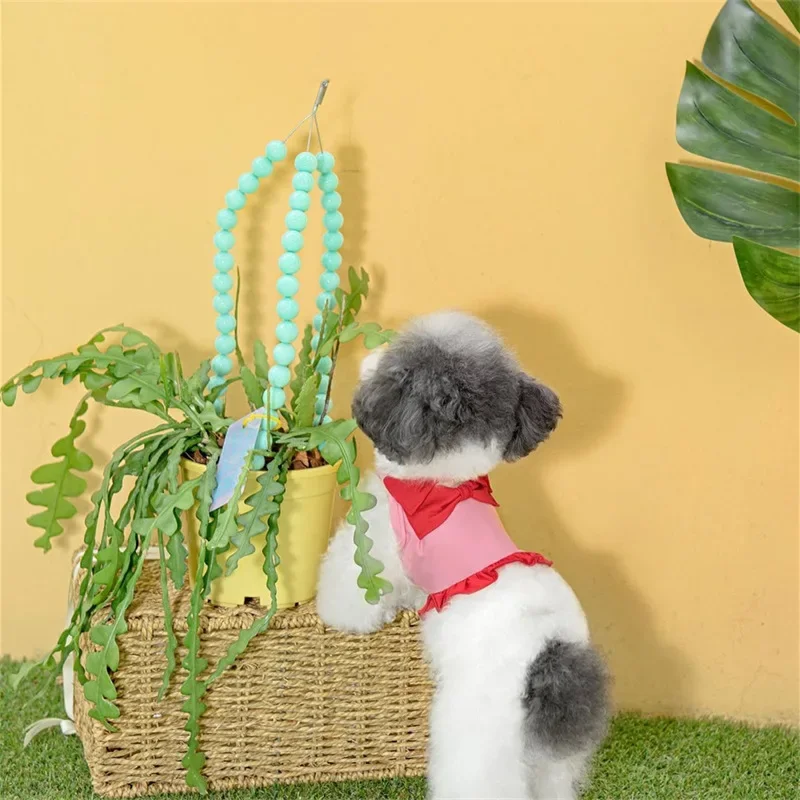 

Ins Pet Daisy Clothes Spring Summer Bows Dog T-shirts Tank Tops Swimsuits Small Medium-sized Dog Universal Supplies Sunshade Hat