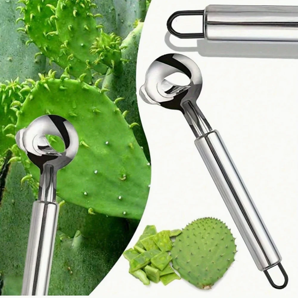 2pcs Home Cactus Peeler Stainless Steel Fruit & Vegetable Peeler, Honeydew Ball Scoop Seed Remover Household Kitchen Gadgets