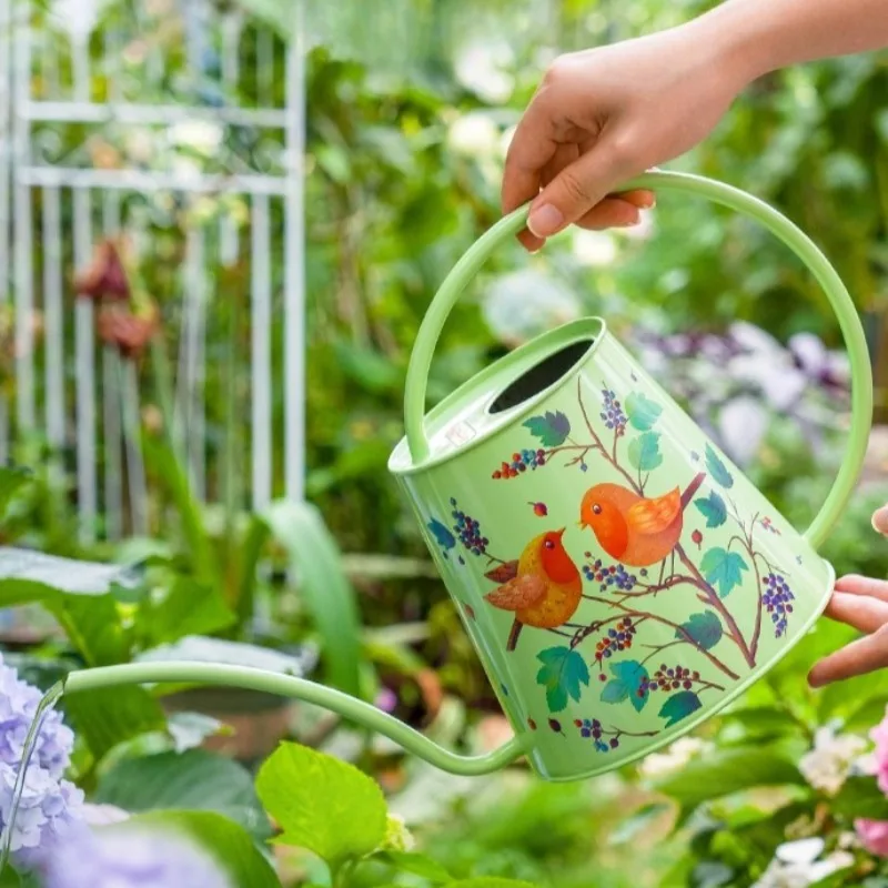 

Creative Stainless Steel Long Spout Water Cans Simple Indoor Plant Watering Cans Cartoon Painting Pattern Art Garden Supplies