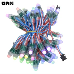 50pcs/lot WS2811 Diffuse Digital Light DC5V LED 12mm IP68 Round Addressable RGBIC String For Signboard Making Festive Deco