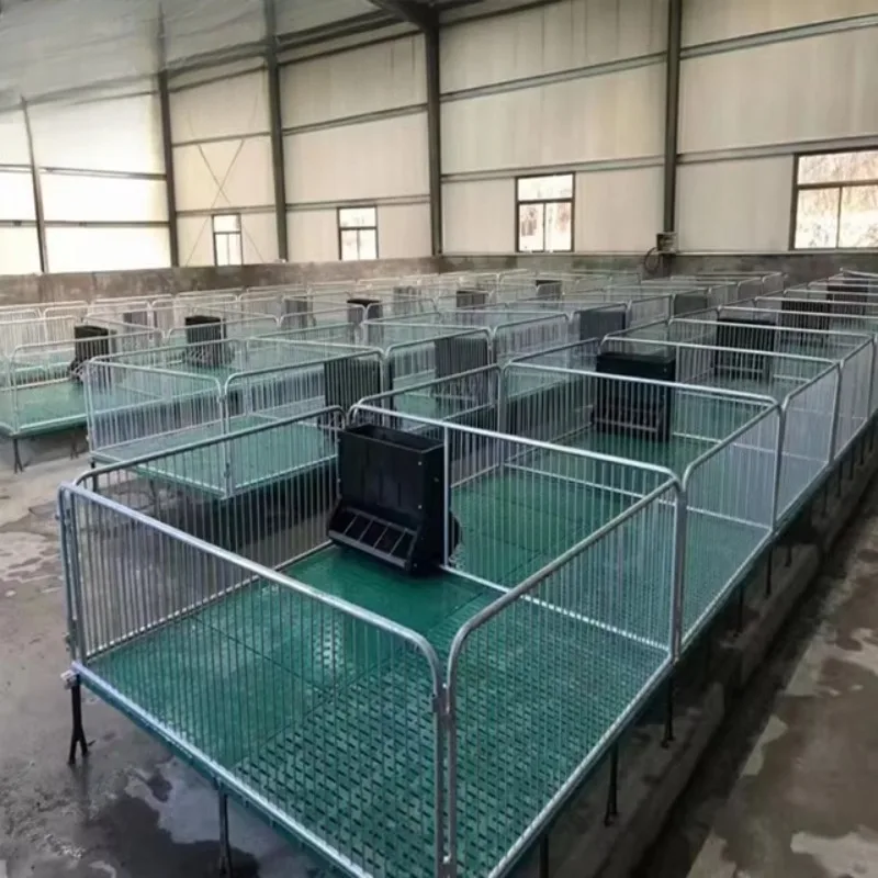 Best-selling high-quality stainless steel pig feeders and nursery beds