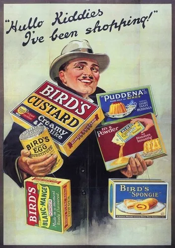 Bird;s Custard Advertising Metal Sign Wall Plaque Art Vintage Retro  a4