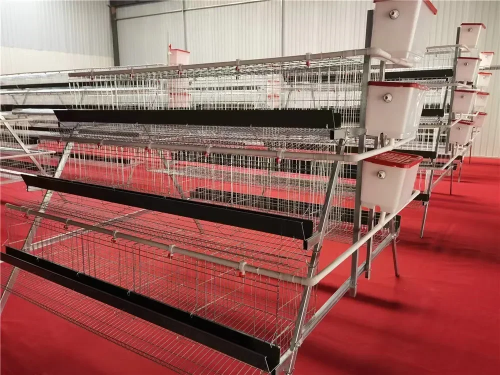 5 Sets 96 Capacity Laying Hen Cage Galvanised Stainless Steel Thick Wire Chicken Coop Poultry House Chicken Farm Equipment