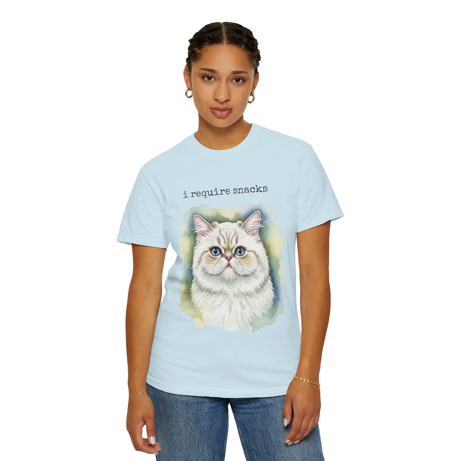 I Require Snacks Persian Cat TShirt, Cat Lovers Tee, Snack Lover Shirt