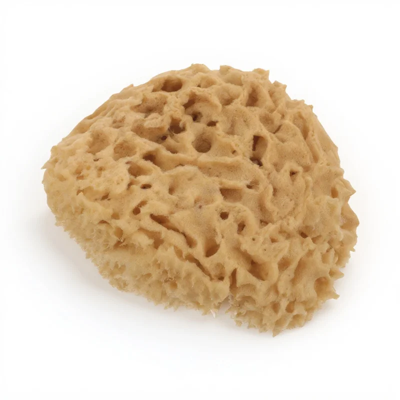 

Greek Natural Honeycomb Bath Ball Shower Sponge for Body Exfoliating Skin Cleaning Scrubber Household Bathroom Use