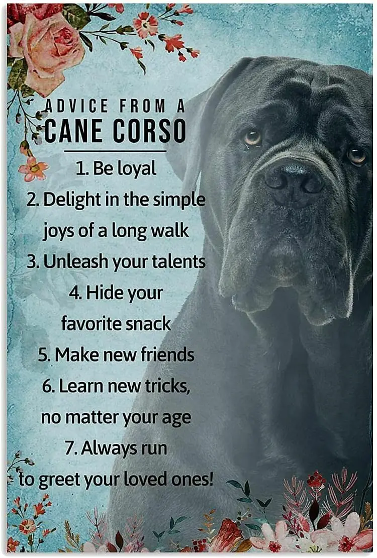 Tin Signs - Advice from A Cane Corso? Floral Wall Decor Ed for Dog Lover Funny Home Decor Vintage Tin Sign for Home & Kitche