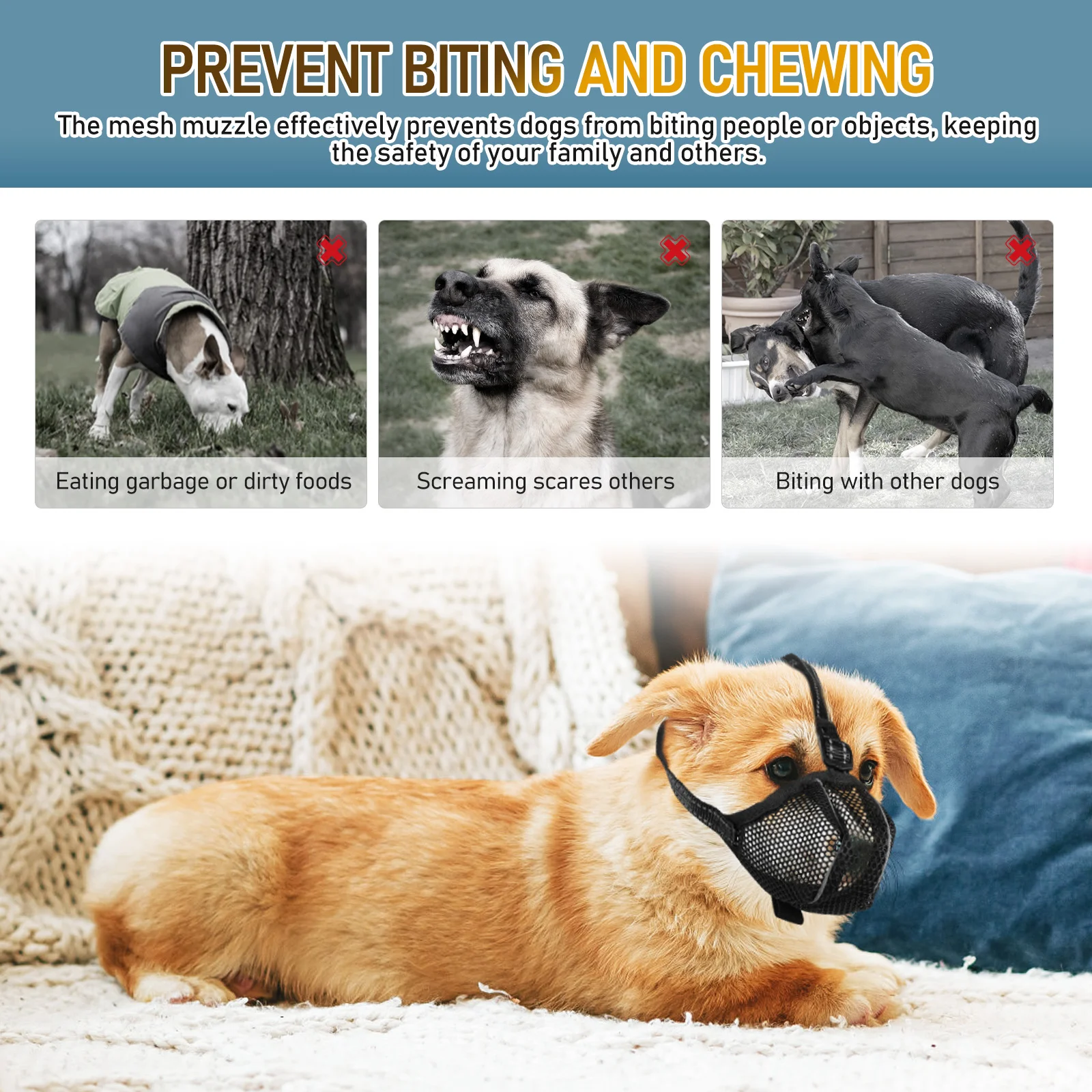 Thumbnail 3 - #5 Trending Puppy Muzzles Right Now