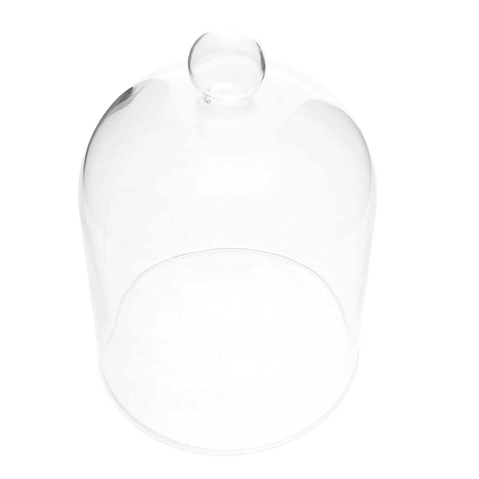 

Glass Dome Cover Eternal Flower Cloche Delicate Glass Bell Jar Display Dome for Dried Flowers Wedding Anniversary Home