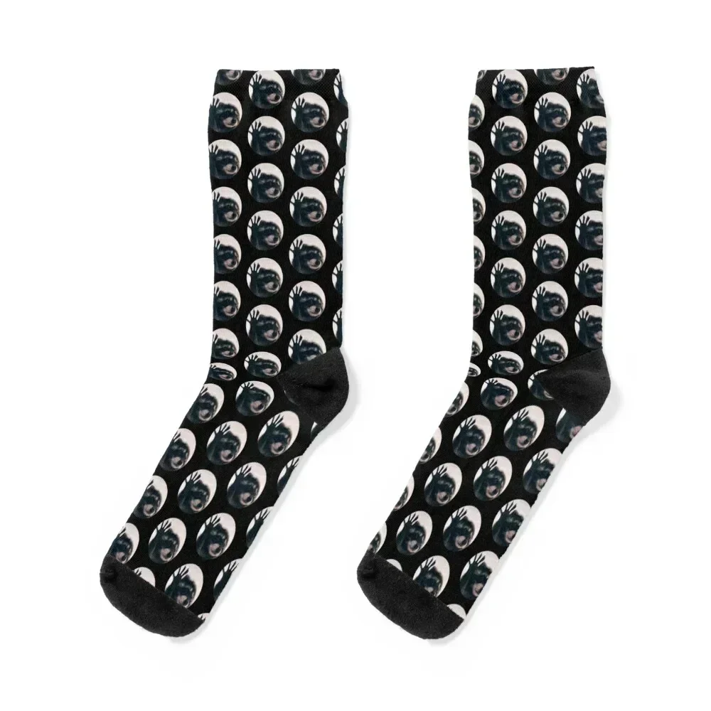 

Pedro Raccoon Socks luxury Stockings Stockings compression bright garter Socks For Girls Men's