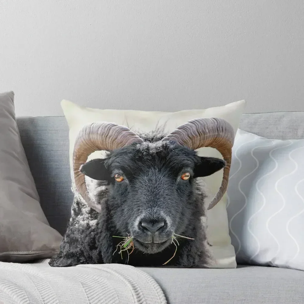 

Black Sheep Eye to Eye Contact Hebridean Sheep Throw Pillow Cushion Cover Set Sofa Covers For Living Room pillow