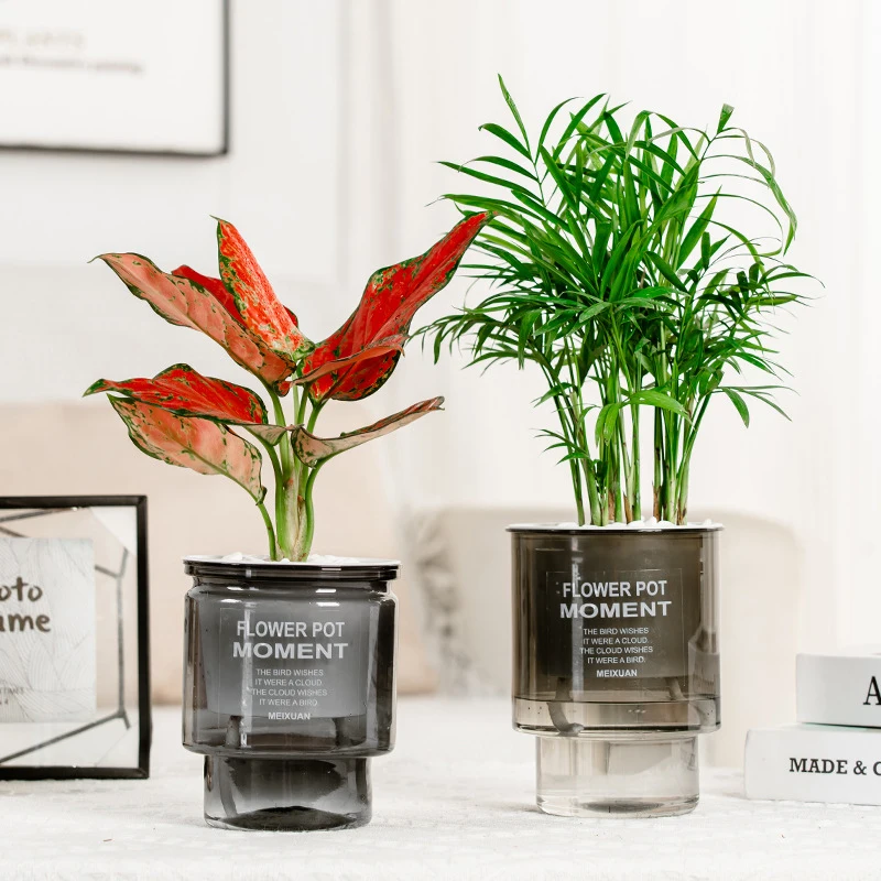 Creative Self-absorbent Transparent Water Culture Pot Small Potted Plant Ware Office Decoration