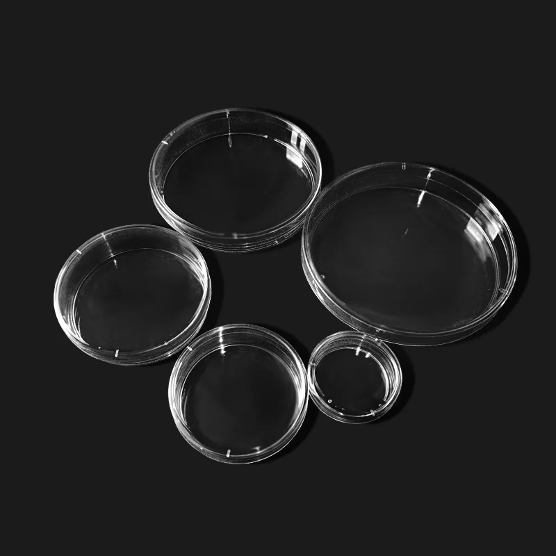 10Pcs 60mm Polystyrene Sterile Petri Dishes Bacteria Culture Dish for Laboratory Biological Scientific School Supplies