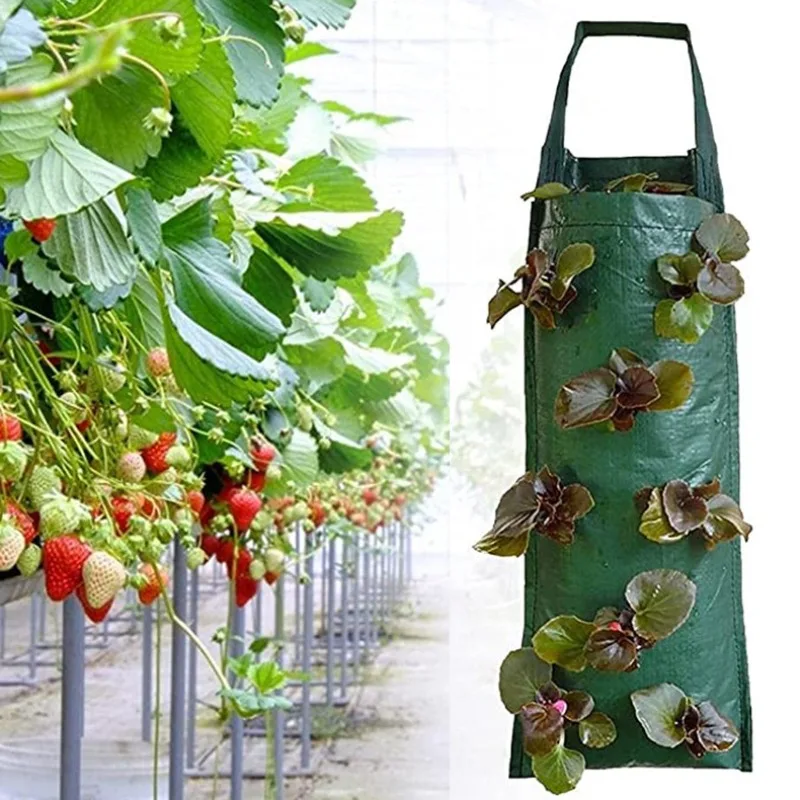 

Vertical Strawberry Planting Bag PE Vertical Hanging Three-dimensional Plant Bag Seedling Multi Mouth Strawberry Bag