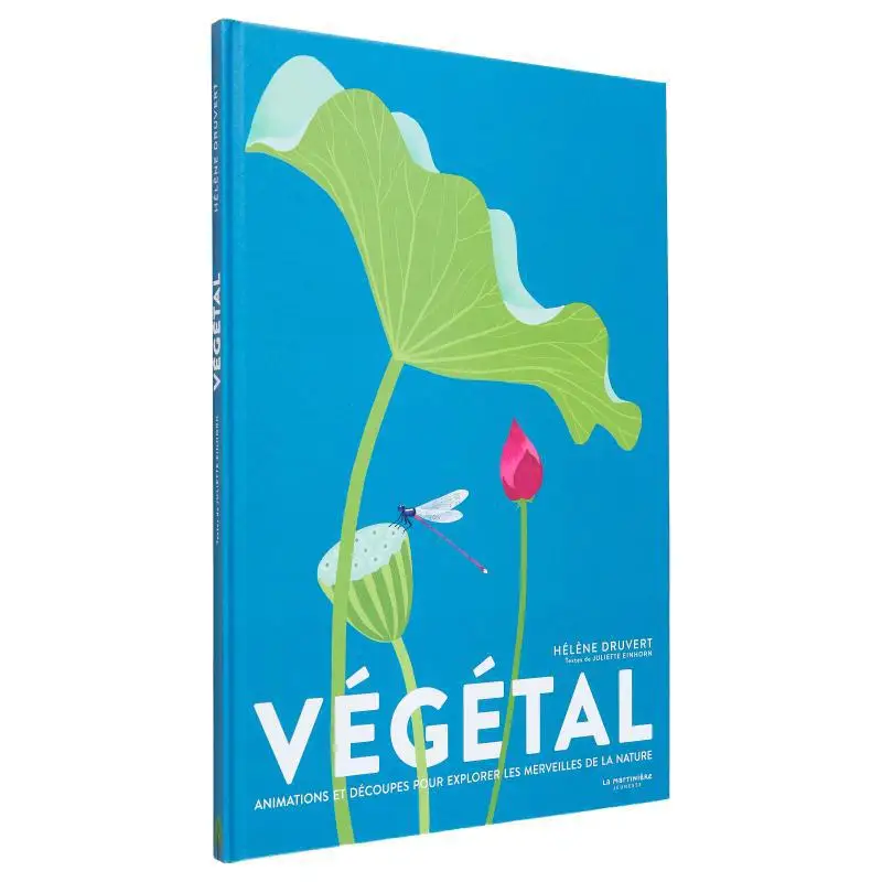 Vegetal  Animations And Cuts To Explore The Wonders Of Nature Juliette Einhorn Helene Druvert La Martiniere Youth 9791040111030