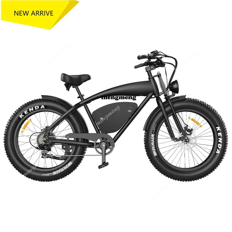 

Fast Speed 26 Electric Bike Hidoes B3 1200w E Bike Aluminum Frame Electric Bicycle Ebike