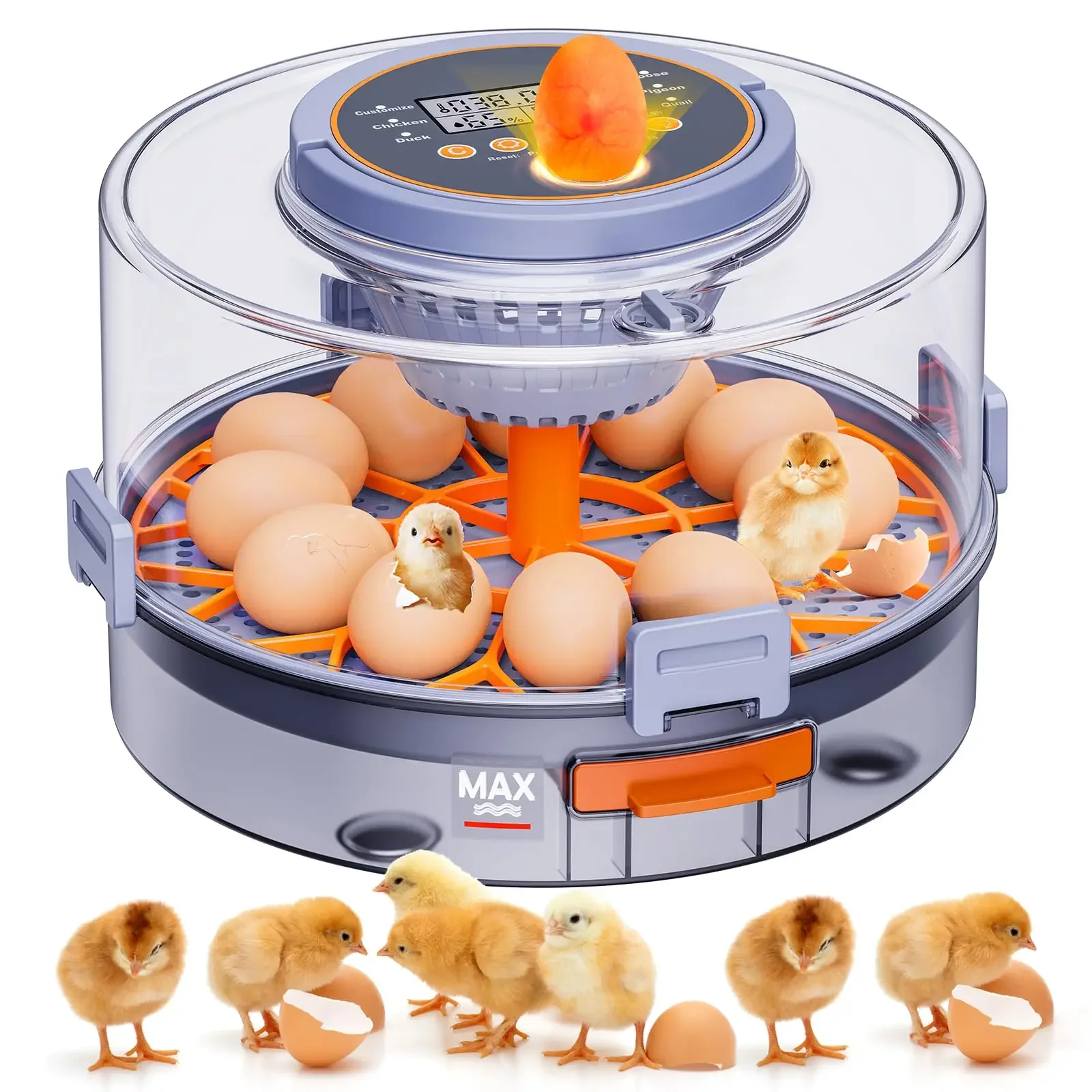 Incubator with Automatic Egg Turning and Humidity Control, Intelligent Egg Incubator with Automatic Temp. Adjustment, 12 Egg