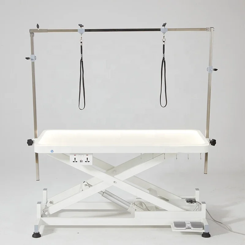 LED Electric Lift Pet Grooming Table with Illuminated Suitable for Large Dogs for Pet Grooming Salon