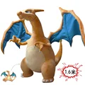 Customize-Charizard