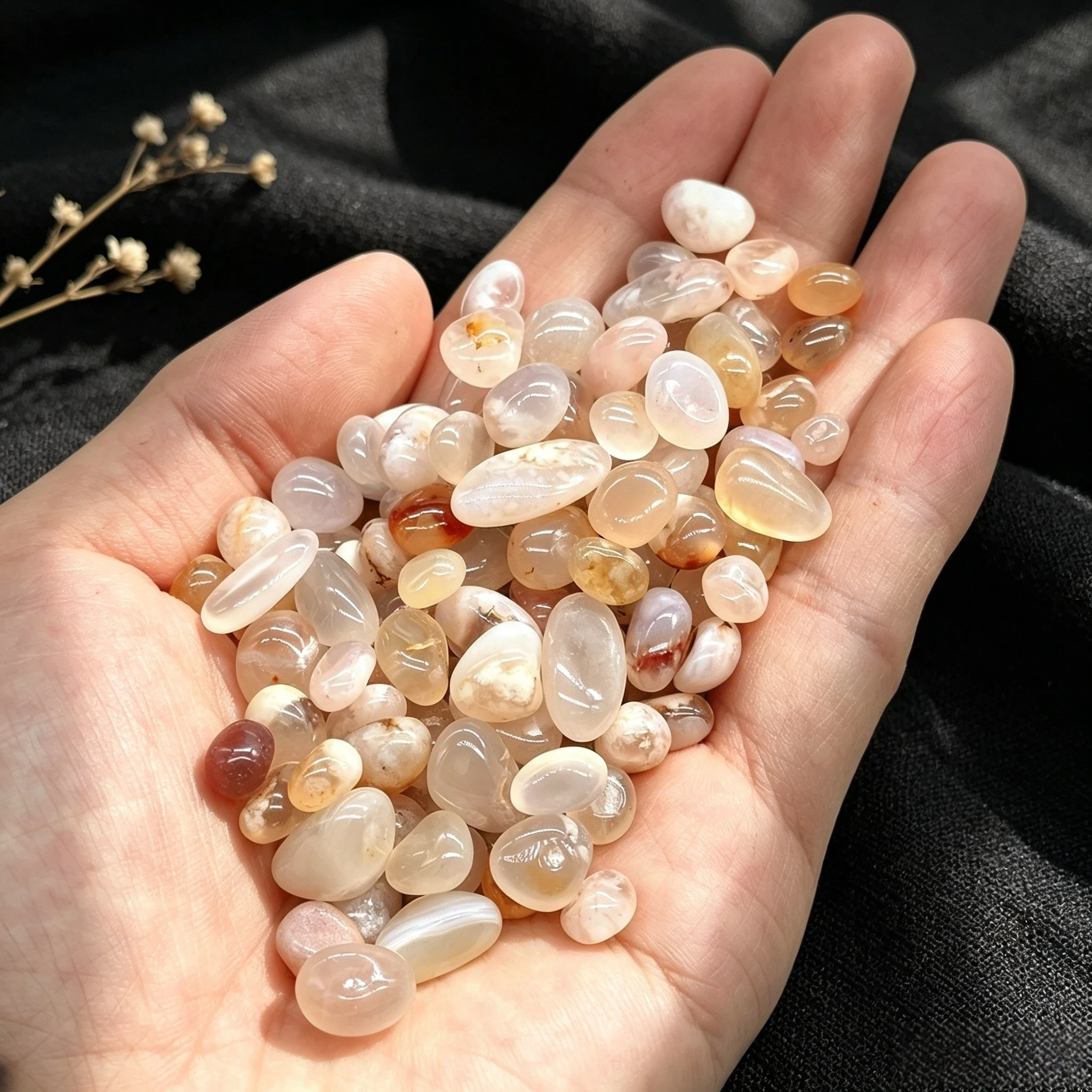 Copeaux d'agate naturelle de f - Marine Fish Tank avis et prix