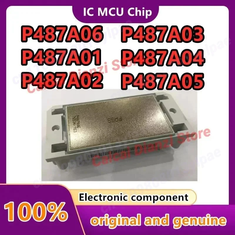 

P487A06 P487A05 P487A04 P487A03 P487A02 P487A01 P487A