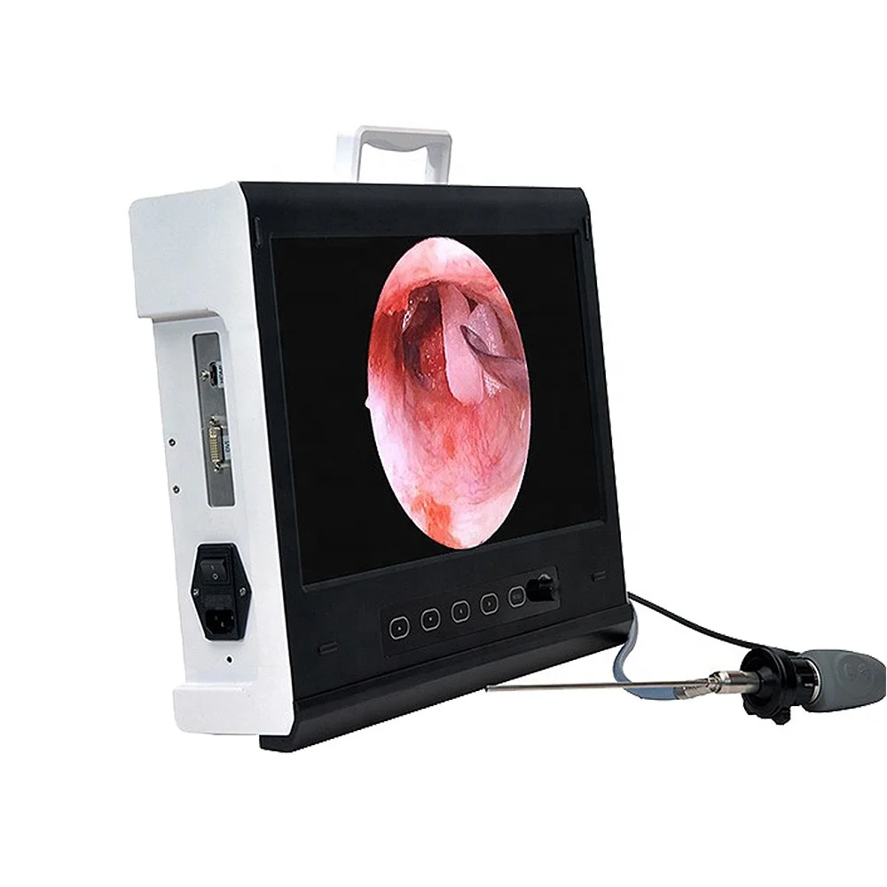 LTES52 Cheapest price 22 inch Portable Full HD Endoscope    For Hospital