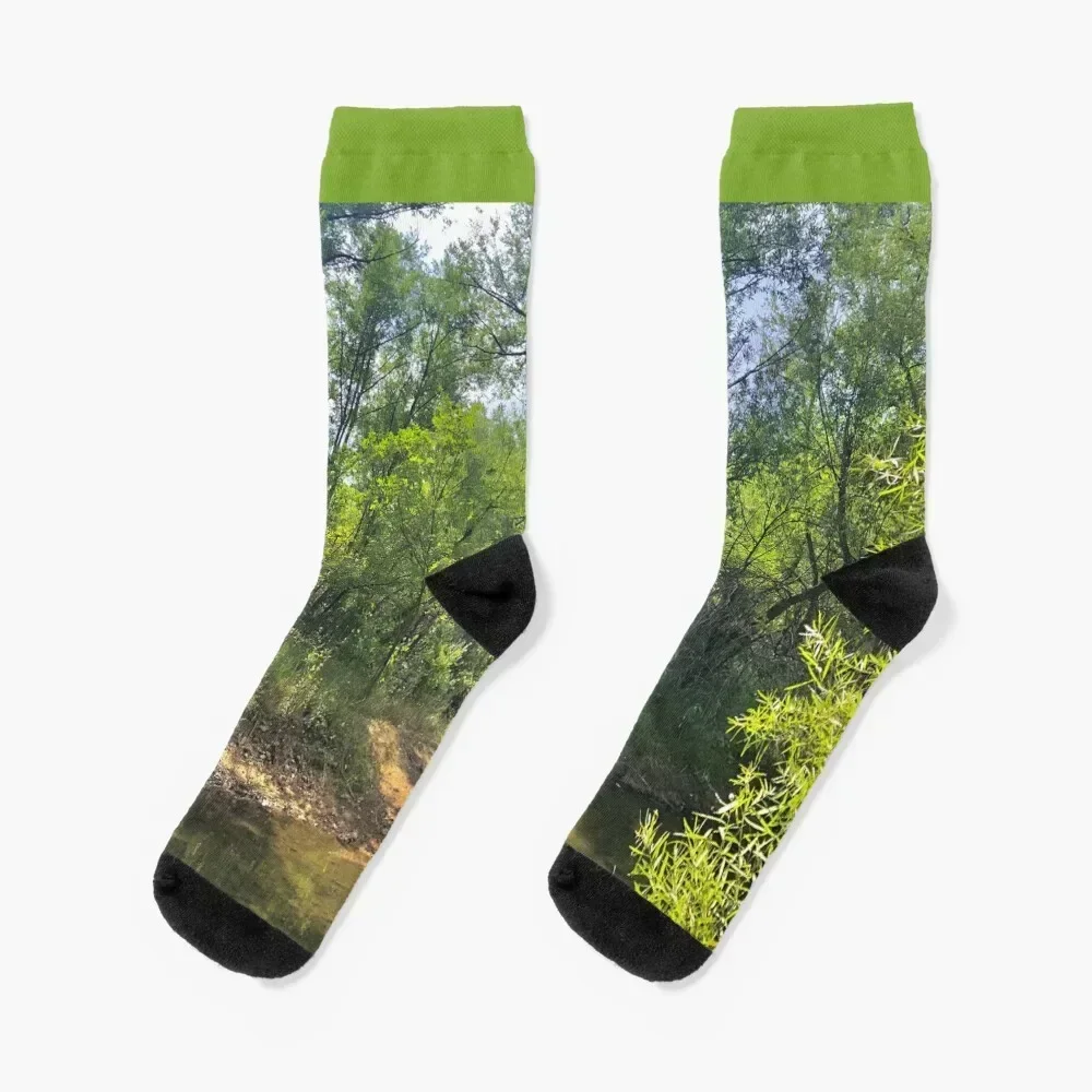 

Hidden Dirt Path in The Green Forest Nature Scene Print Socks cartoon hiphop Running professional running Socks For Men Women's