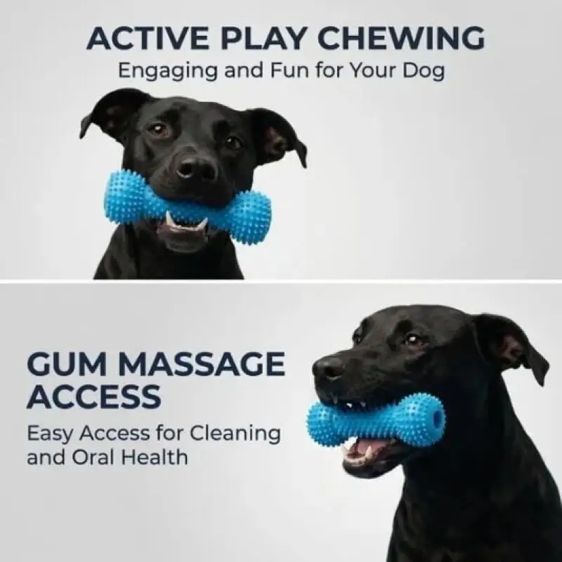 Dual Function Pet Dental Chew Stick Durable Dog Teeth Cleaning Toy Simplify Daily Brushing Reduce Plaque Freshen Breath view 5