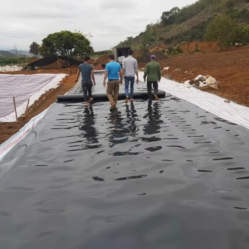 Industrial Grade HDPE Geomembrane Liner Customized Thickness and Size for Reservoir Landfill and Mining Projects