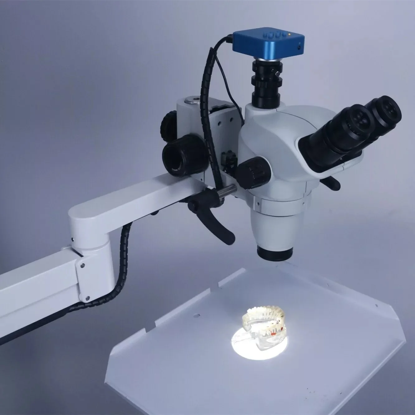 Continuous Zoom 16MP 1080P Dental Operating Microscope Portable Surgical Microscope/endodontic Microscope with Camera for Chair