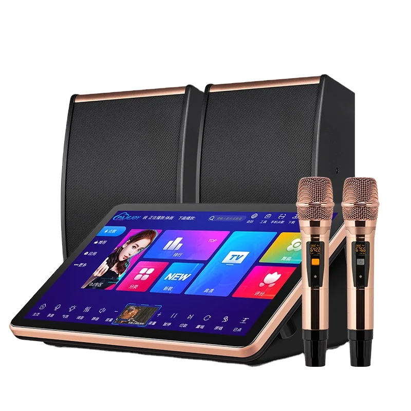 18.5inch Touch Screen Home Amplifier Wireless Microphone Set Karaoke pa Speaker System