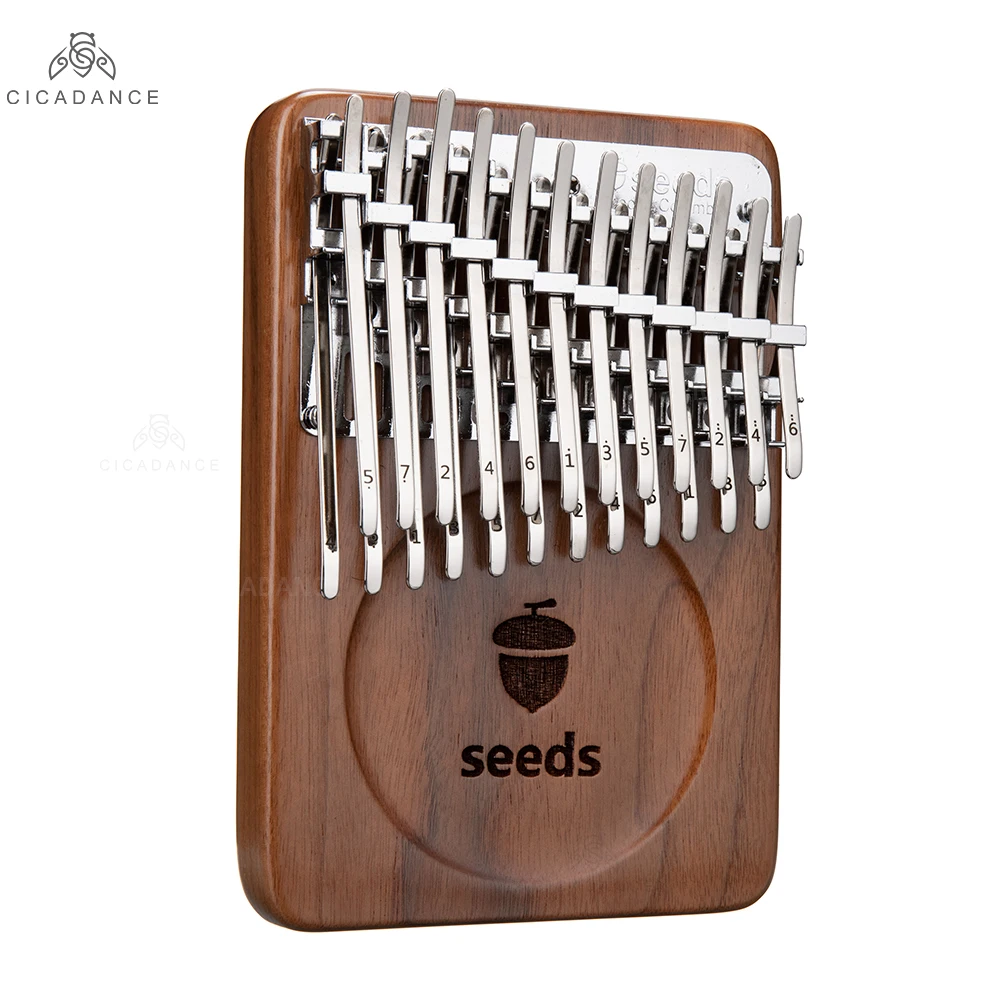 Piano à pouce à 24 touches Kalimba à tonalité C, Diatonic Mbira, clavier en noyer noir, Instruments musicaux avec accessoires, cadeau