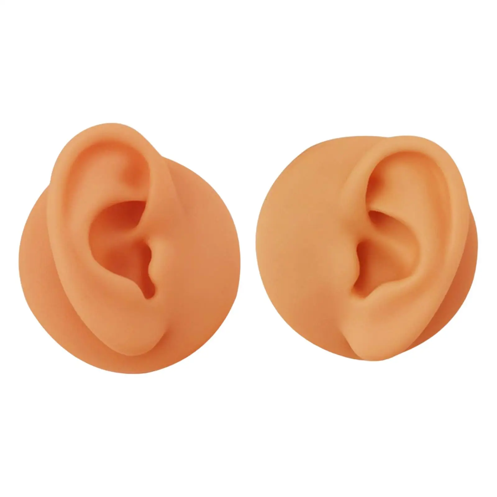 Flexible silicone ear model, high simulation ear models, realistic for the