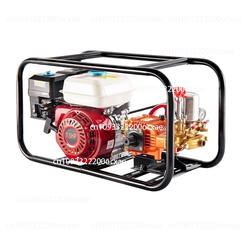 

High-quality pesticide sprayer gasoline high-power high-pressure self-priming plunger pump for orchards disinfection sprayer
