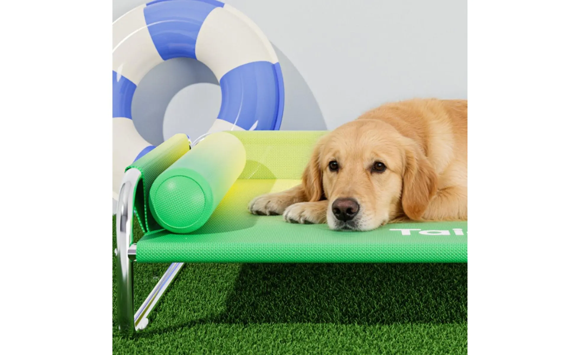 Stainless Steel Dog Bed Long-Lasting Elevated Dog Bed Pet Furniture Cooling Easy to Clean for Large Dogs