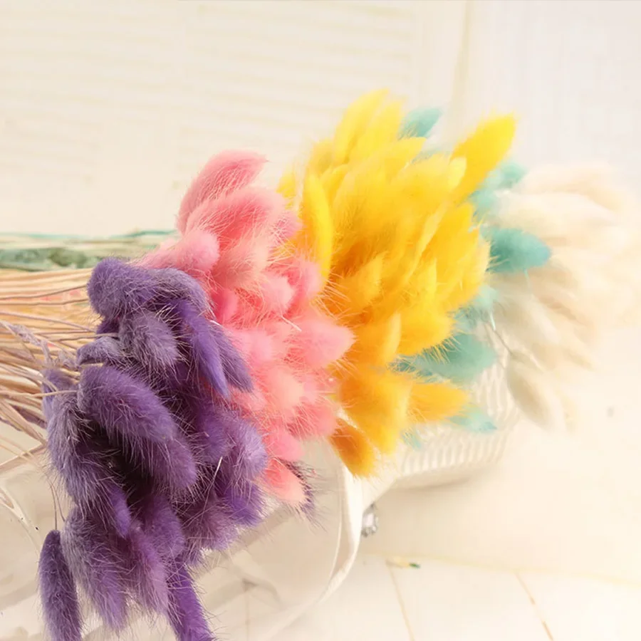

30Pcs/lot Gradient Lagurus Ovatus Natural Dried Flowers Bouquet Wedding Home Easter Decorations Rabbit Tail Grass Real Flowers