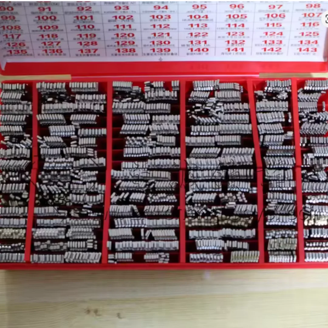 Car Key Blanks Assortment Kit Various Types Car Key Embryo with Organizer Storage Box